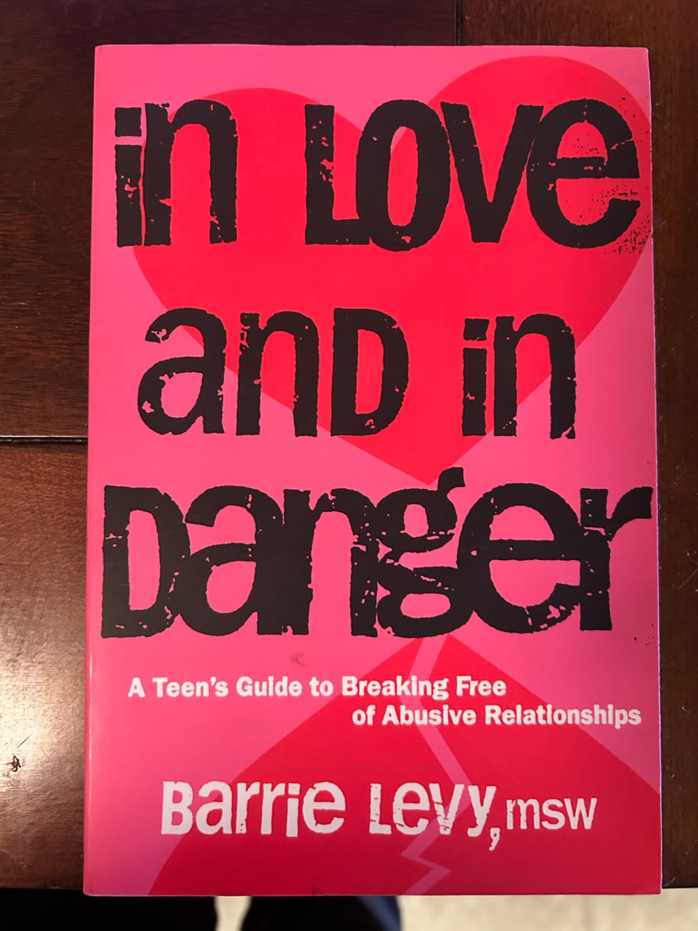 In Love and in Danger by Barrie Levy - Hot Pink & Red Cover